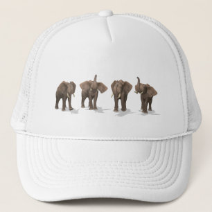 Boné Elephants Quartet