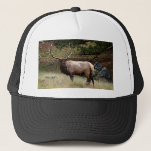 Boné Elk na Natureza