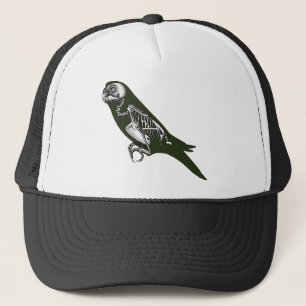 Boné Esqueleto de Budgie