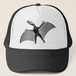 Boné Esqueleto do Pterodactyl