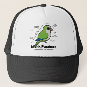 Boné Estatísticas do Parakeet da monge