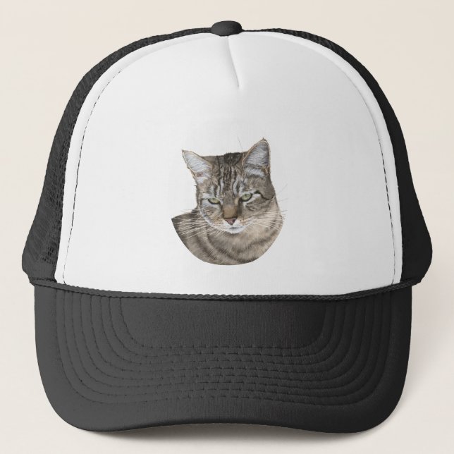 Boné Estudo da Cabeça de Gato Tabby de Pelo Curto (Frente)