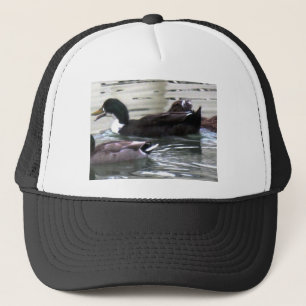 Boné Eu adoro Patos