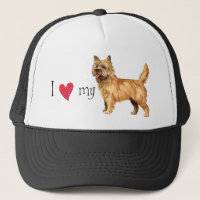 Eu amo meu Cairn Terrier