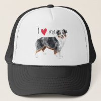 Eu amo meu mini pastor americano