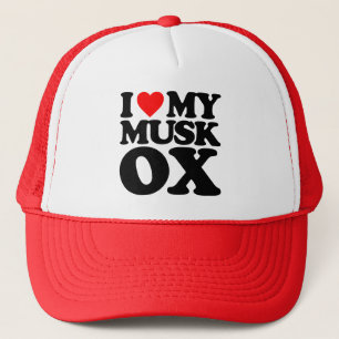 BONÉ EU AMO MEU OX DE MUSCO
