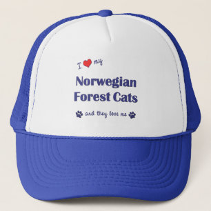 Boné Eu amo meus gatos noruegueses da floresta (os