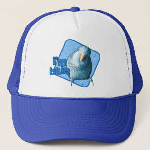 Boné Eu sou chapéu azul do Parakeet do quacre