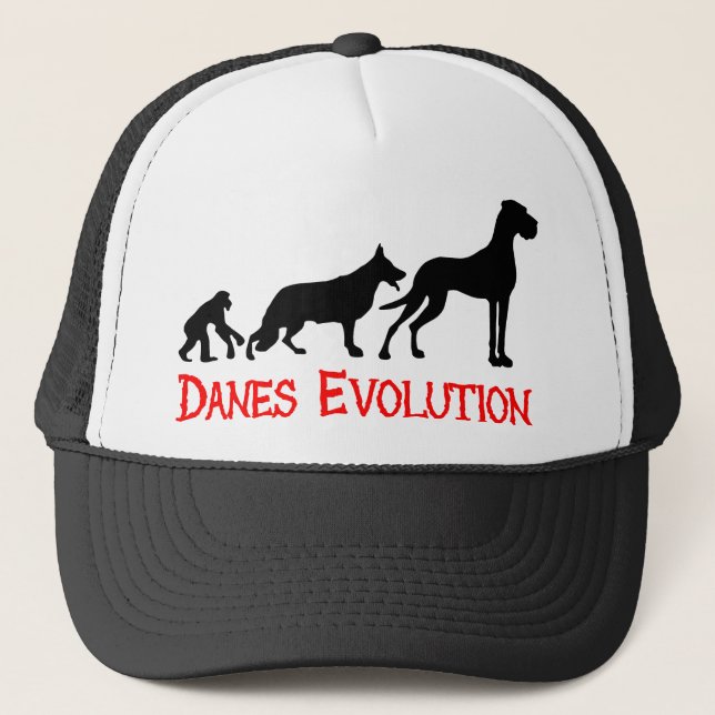 Boné Evolução Danesa (Frente)