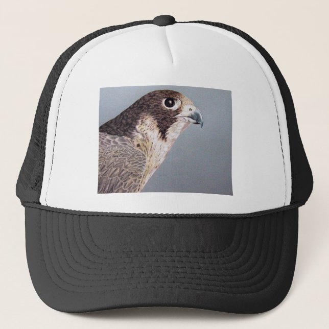 Boné Falcão de peregrino (Frente)