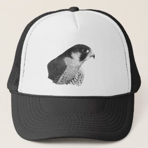 Boné Falcão-lápis peregrino