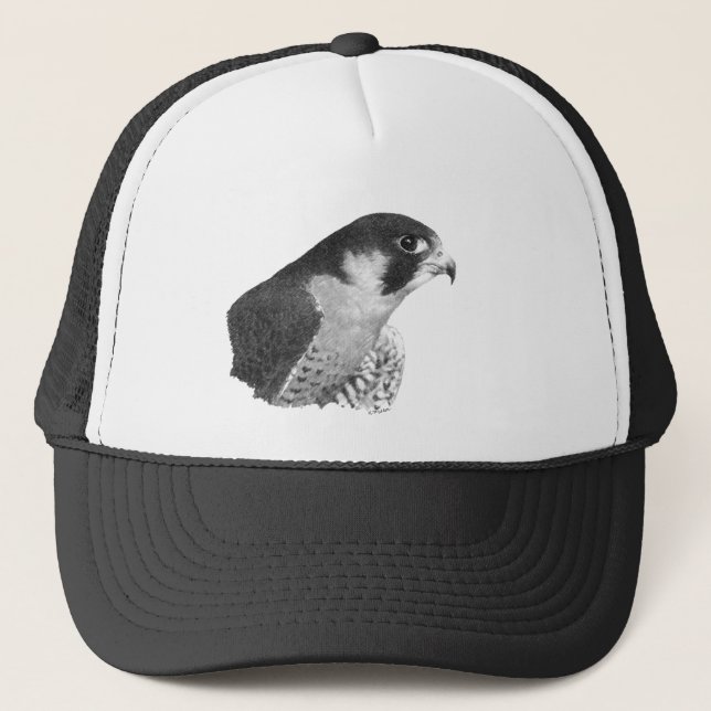 Boné Falcão-lápis peregrino (Frente)