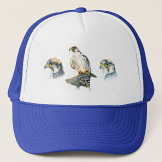 Boné Falconry