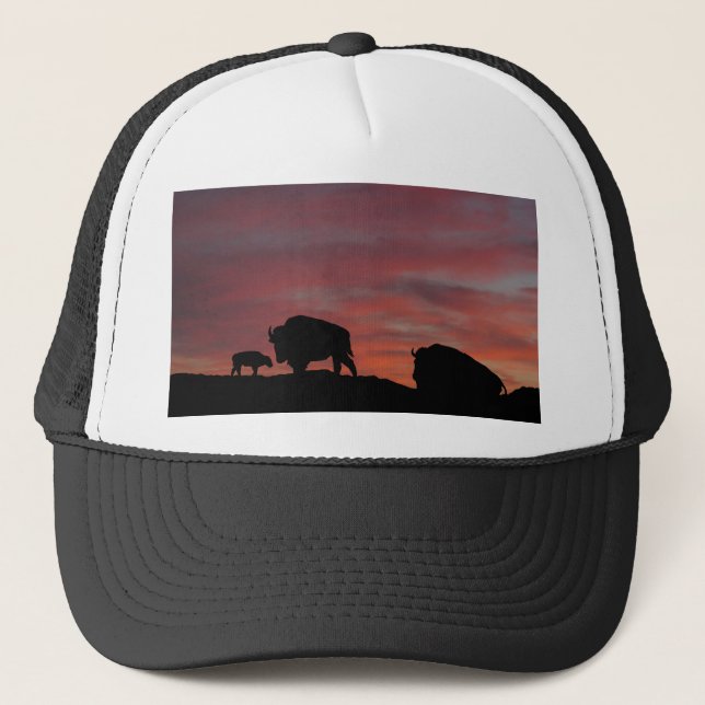 Boné Família Bison (Frente)