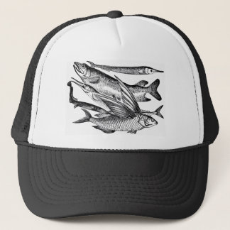 Boné Família de Pike - peixe