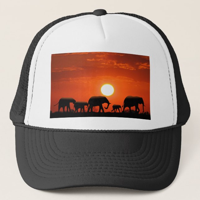 Boné Família elefante (Frente)
