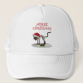 Boné Feliz Natal. Gato com chapéu de Papai Noel