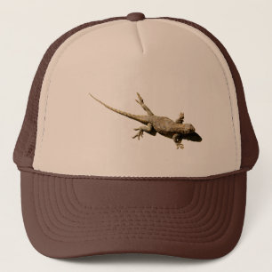 Boné Fence Lizard