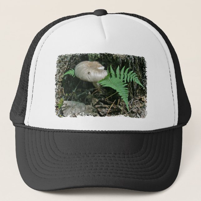 Boné Fern & Mushroom em Itens de Coordenação de Apedrej (Frente)