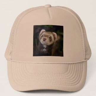 Boné Ferret