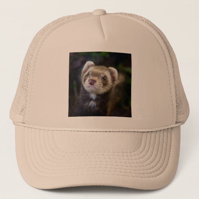 Boné Ferret (Frente)