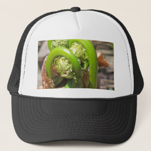 Boné Fiddleheads