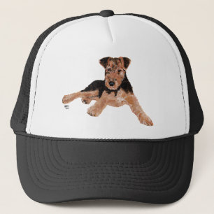 Boné Filhote de Airedale / Welsh Terrier