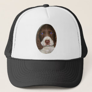 Boné Filhote de cachorro de Springer