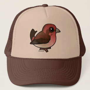 Boné Finch Roxo Birdormente