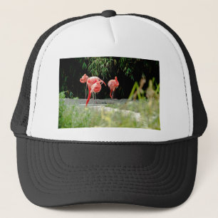 Boné flamingo