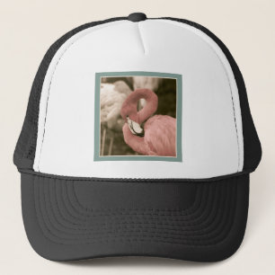 Boné Flamingo Modestável