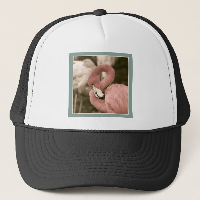 Boné Flamingo Modestável (Frente)