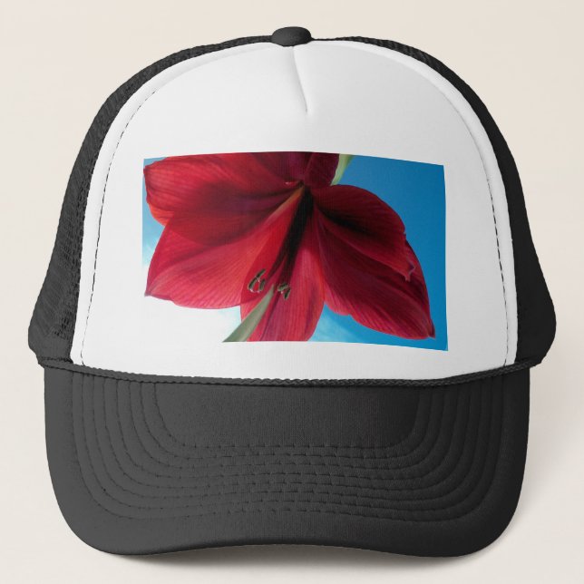 Boné Flor de Amarílis vermelha vibrante (Frente)