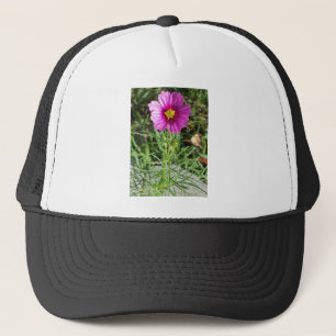 Boné Flor rosa escuro Cosmos Daisy