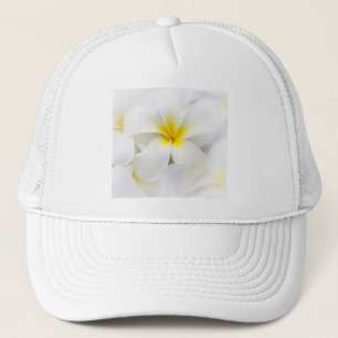 Boné Flores florais do Frangipani branco da flor do