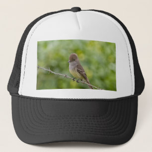 Boné Flycatcher