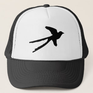Boné Flycatcher de Scissortail