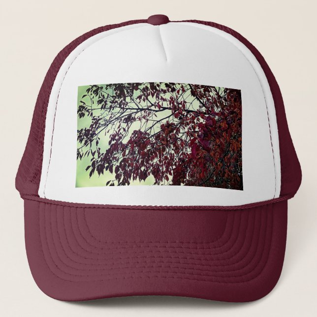 Boné Folhas de castanho (Frente)