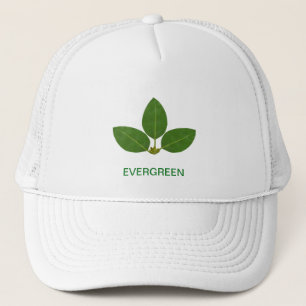 Boné Folhas de Louro Verde Modernas