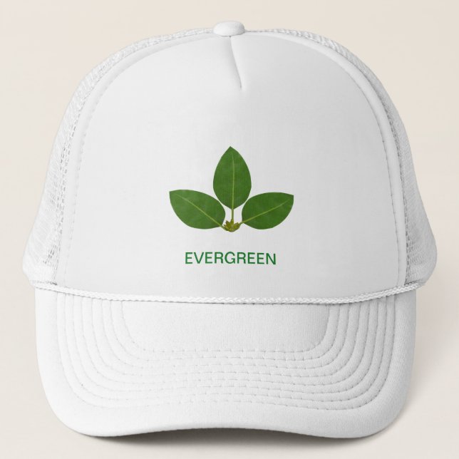 Boné Folhas de Louro Verde Modernas (Frente)