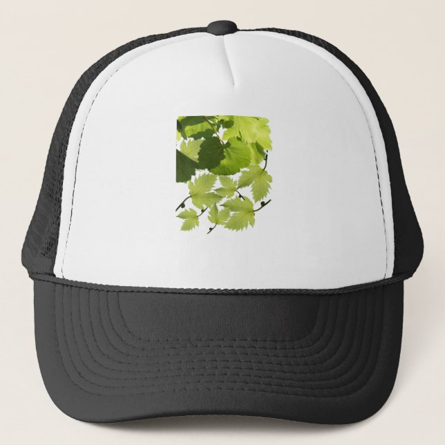 Boné Folhas de Vinho Verde (Frente)