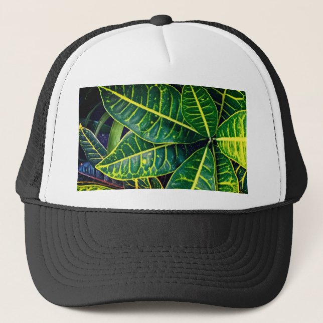 Boné Folhas verdes (Frente)