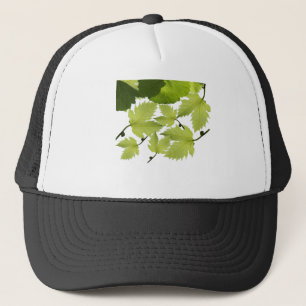 Boné Folhas Verdes da Vinha de Grama