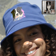 Foto de Cachorro Border Collie