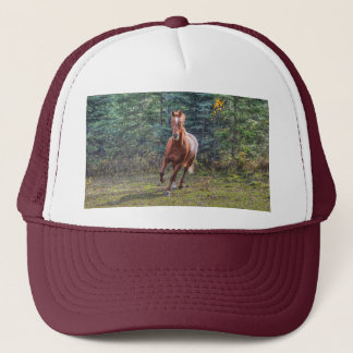 Boné Foto de Cavalo Equino Ranch