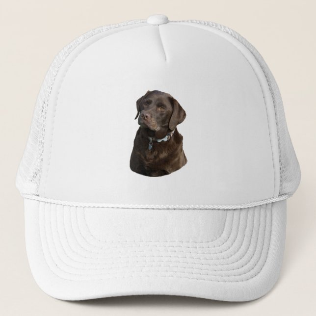 Boné Foto de chocolate Labrador (Frente)