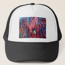 Fotografia náutica marinha aquática