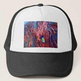 Boné Fotografia náutica marinha aquática