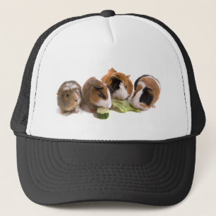 Boné four guinea pigs who eat,