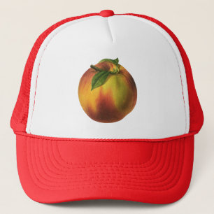 Boné Fruta de Comida, Pêssego Orgânico Elevado com Fo